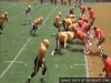 bobby-boucher-o.gif
