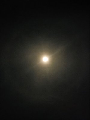 0418242254_HDR.jpg
