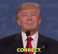 IMG_6327.gif