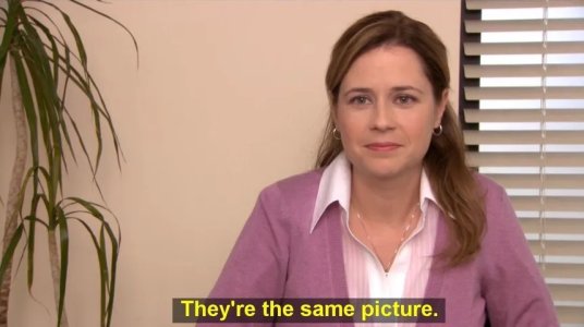 they-re-the-same-picture.jpg