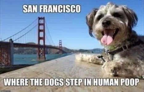 8F0155F4-ACC5-4739-931B-22723ED83A40.jpeg