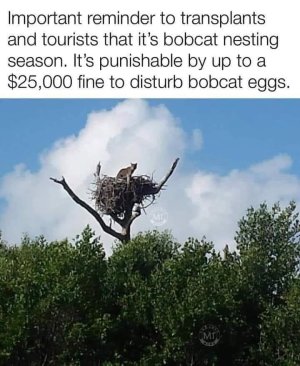 1000000482.jpg