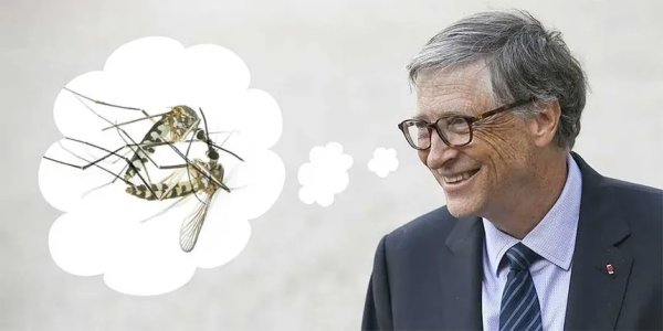 Bill-Gates-mosquito-factory-fact-check.jpg