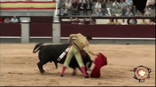 bull-fighting.gif