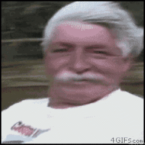 giphy-3295421729.gif