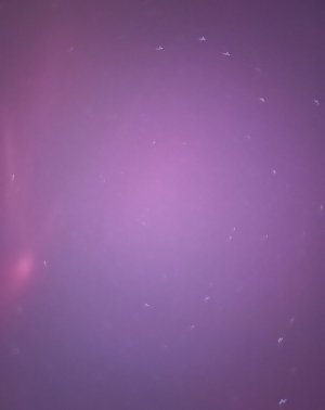 Screenshot_20240510_233311_Gallery.jpg