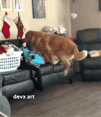 1715524971096.gif