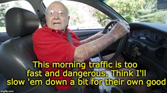 old man driving.jpg