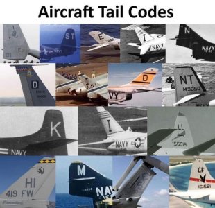 445422940_1194318275267162_4529546116476954207_n.jpg
