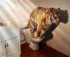 tiger.jpg