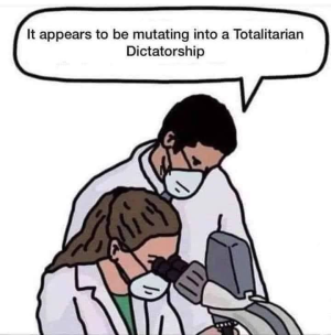1716795340716.png