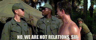 53d53664-781c-43c4-85bd-3dbd290974c6_text.gif