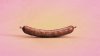 sausage.jpg