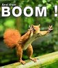 Squirrel Boom.jpg