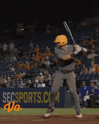 A316A073-D794-4CAB-B8A3-A56E0DEABD0F.gif