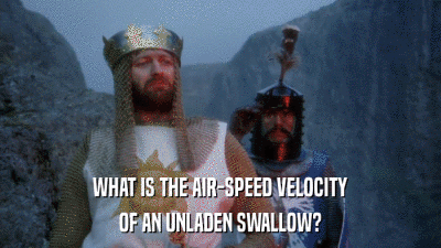 IMG_7477.gif