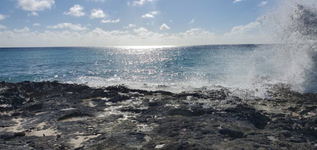 20231116_094939.jpg