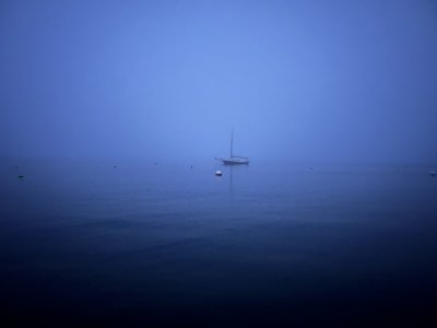 IMG_1231.jpeg