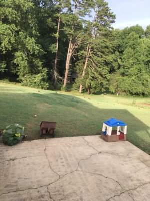 IMG_0222.jpeg