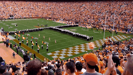 EA0511BA-26F8-4E99-8DE5-8273597C014D.gif