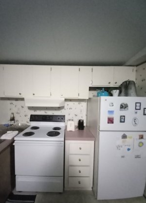 20240806_221927.jpg