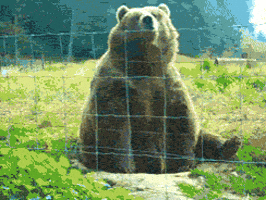 1724908741504.gif