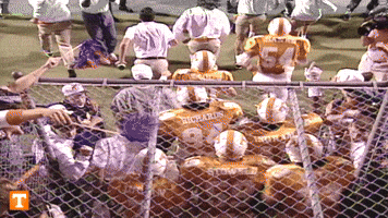 1725104520029.gif
