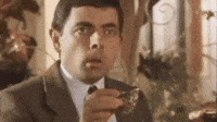 IMG_8529.gif