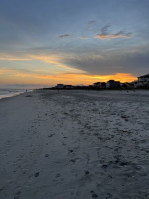 IMG_1441.jpeg