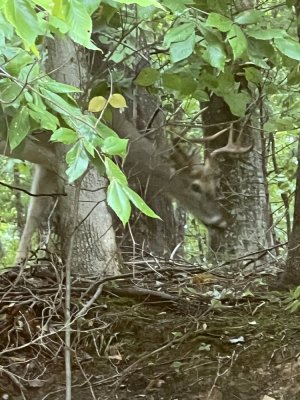 IMG_0373.jpeg