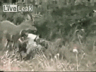 1726615257014.gif