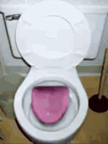IMG_1440.gif