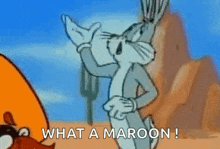 IMG_5179.gif
