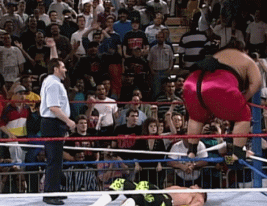 tumblr_pa9153KdCd1u1urgoo1_500-3318234392.gif