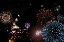 1728787927582.gif