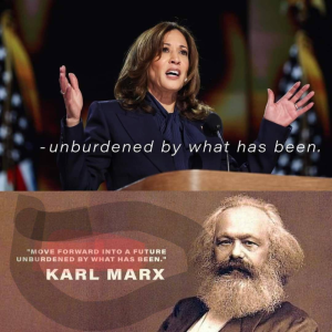 1729064837548.png
