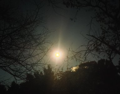 1016242016a_HDR.jpg
