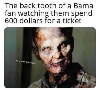 1729205604425.png