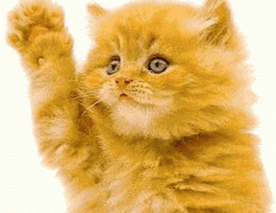 1729208710497.gif