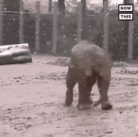 1729209460872.gif