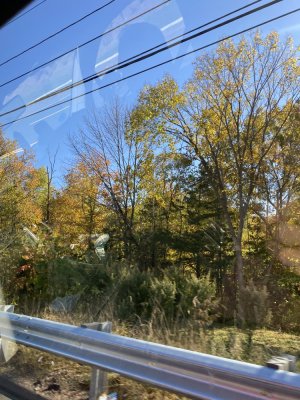 IMG_1965.jpeg