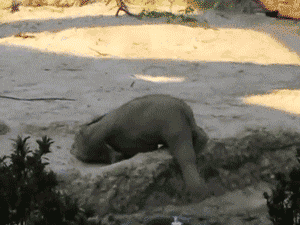 1729381454791.gif