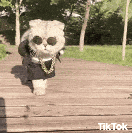 1729523612111.gif