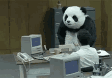 1729565782428.gif