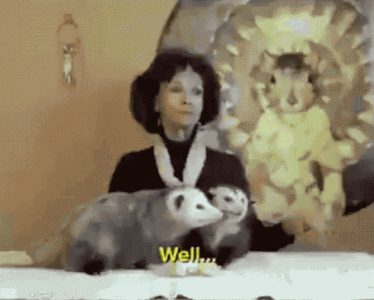 lesson-life.gif