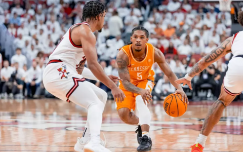 Volnation basketball online