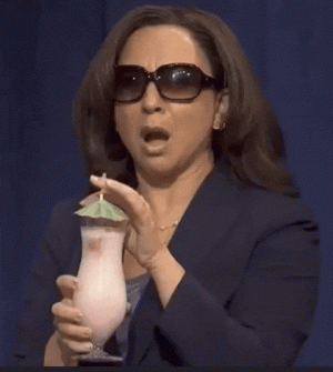 1732804627304.gif