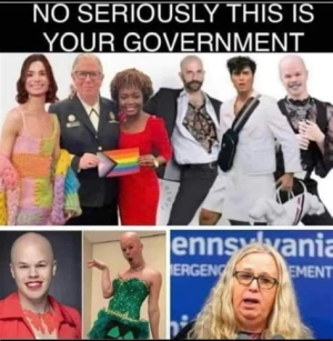 1732876648116.png