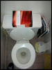 untitled.png