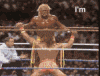 1360039599593.gif